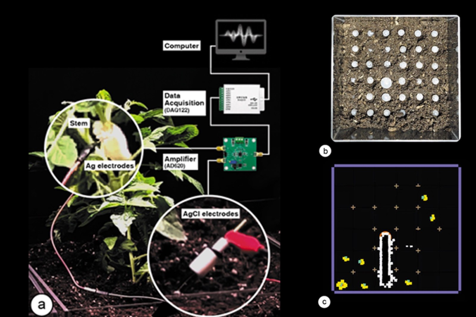 PlantwormSim: soft robotic agents in soil driven by plant signals